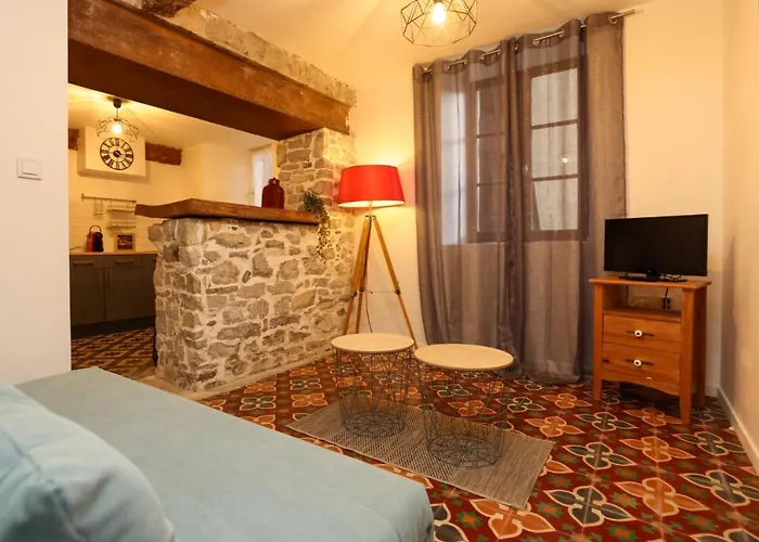 Studio Du Charme Medieval Conciergeriedamecarcas
